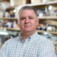 Chief of Division of Endocrinology, Adam Mor, MD, PhD